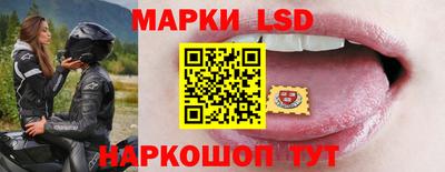 молекула духа Гатчина