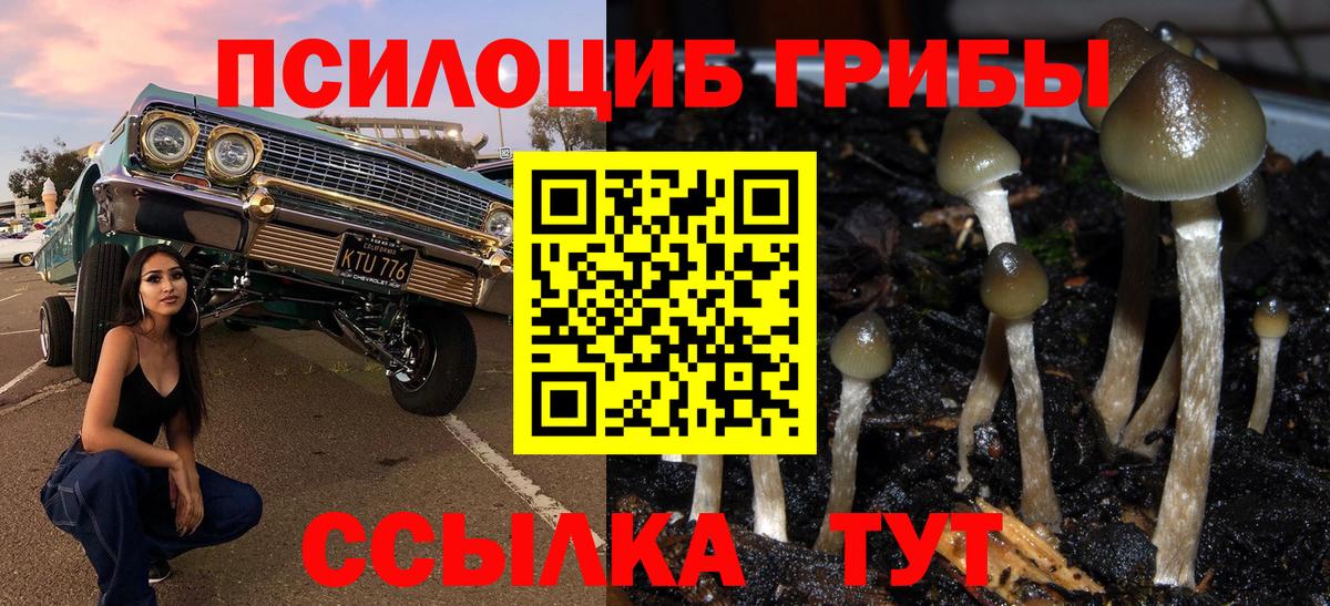 Галлюциногенные грибы Psilocybine cubensis  Вход с VPN  Обь 